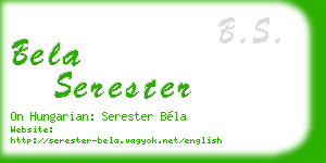 bela serester business card