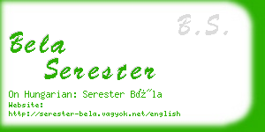 bela serester business card